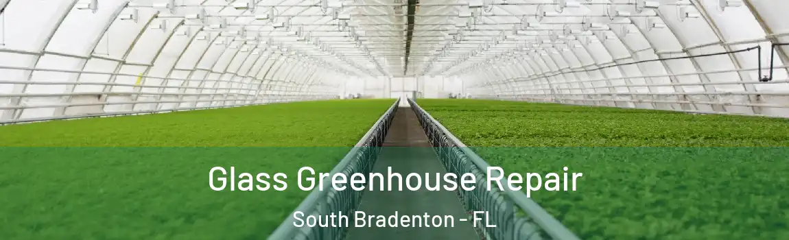  Glass Greenhouse Repair South Bradenton - FL