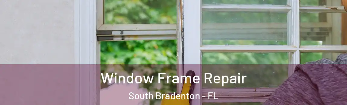  Window Frame Repair South Bradenton - FL