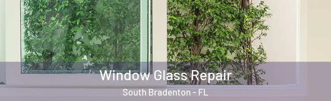  Window Glass Repair South Bradenton - FL