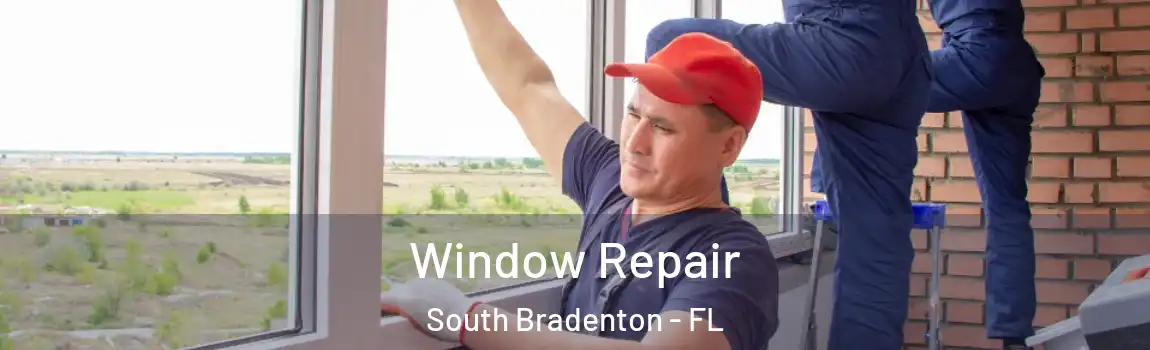  Window Repair South Bradenton - FL